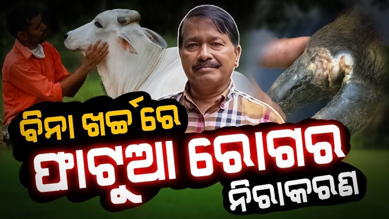 Bina Kharchare Fatua Rogara Nirakaran: An expert's guide - Dr.Balaram Sahu