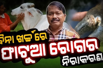 Bina Kharchare Fatua Rogara Nirakaran: An expert's guide - Dr.Balaram Sahu