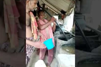 ଛତ୍ରପୁର ଗଞ୍ଜାମ ଟଙ୍କ ଭାଇଙ୍କ ଦ୍ଵାରା ଗୋକୃପା ଅମୃତ ପ୍ରସ୍ତୁତି