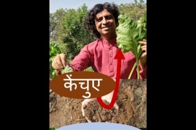 गो-कृपा से केंचुए और जल-स्तर का समाधान कैसे होता है?